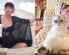 Pisica artistei Taylor Swift valorează 97 de milioane de dolari