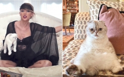 Pisica artistei Taylor Swift valorează 97 de milioane de dolari