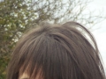 Viorelia Sofronie
