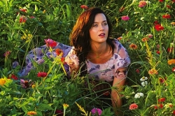 Песня Кэти Перри “Roar” получила уже третью платиновую сертификацию в США.