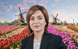 Olanda a numit un soi de lalele în onoarea Maiei Sandu. Președinta: „Sunt emoționată și onorată”