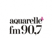 Raport anual de activitate pentru anul 2025 din 06 mai 2026.